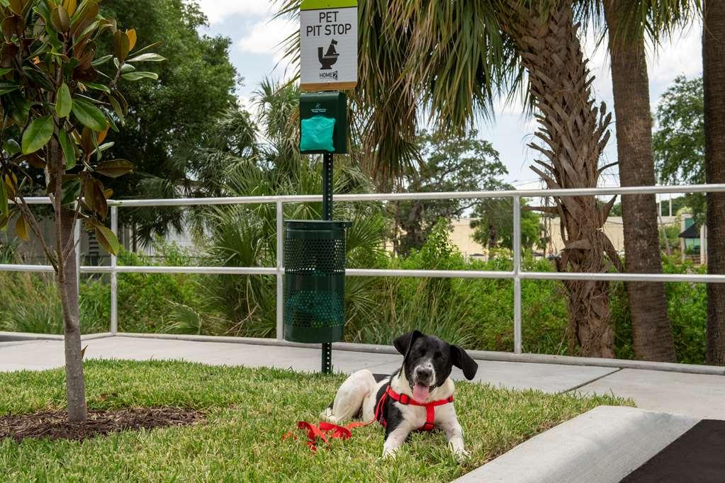 Home2 Suites By Hilton Tampa Westshore Airport Екстер'єр фото